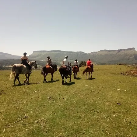 El Ribero Ii Montiano