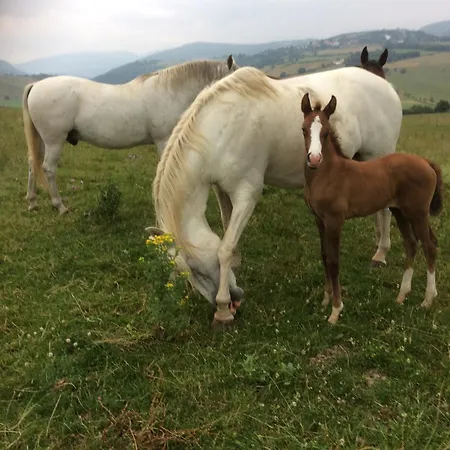 El Ribero Ii Holiday home