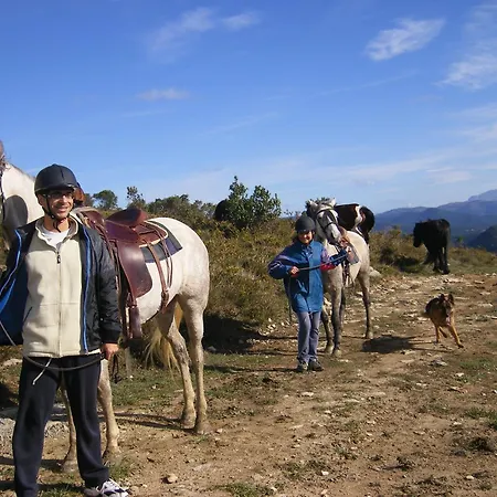 El Ribero Ii Holiday home Montiano