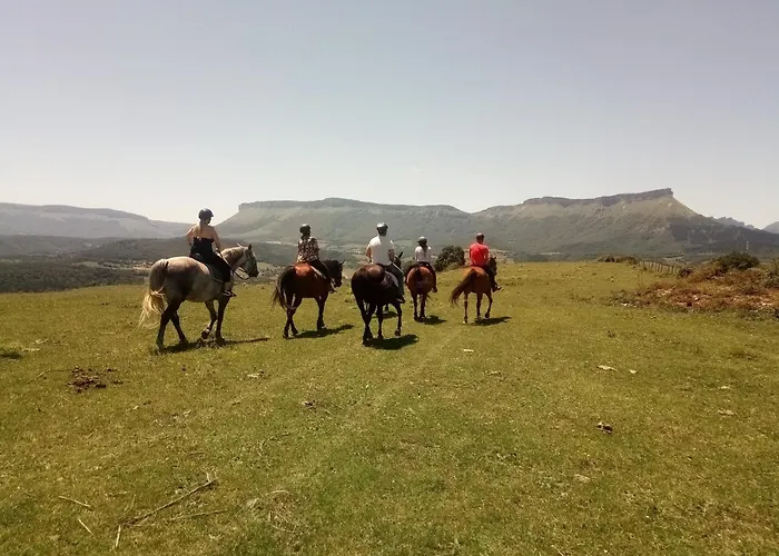 El Ribero Ii Montiano