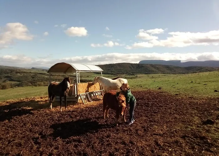 El Ribero Ii 펜션 *